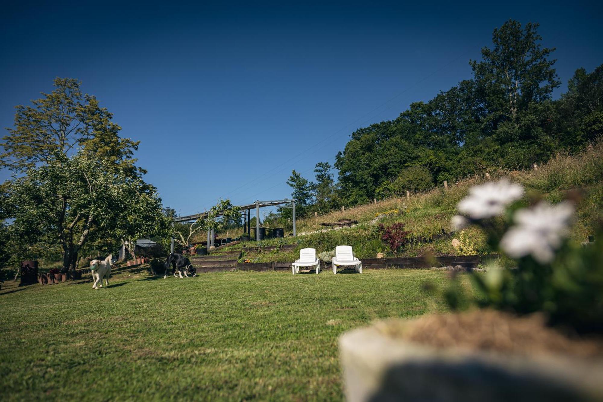Finca La Naguada Casa Rural En Asturias Белонсио Экстерьер фото
