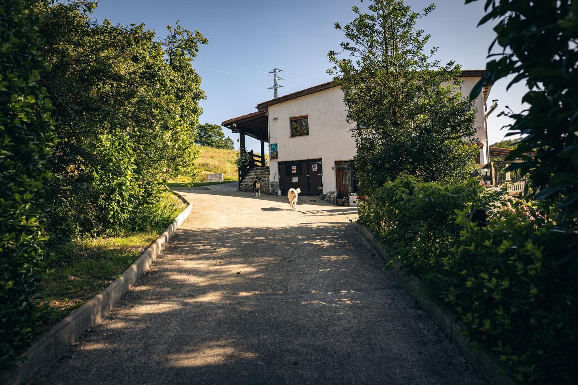 Finca La Naguada Casa Rural En Asturias Белонсио Экстерьер фото