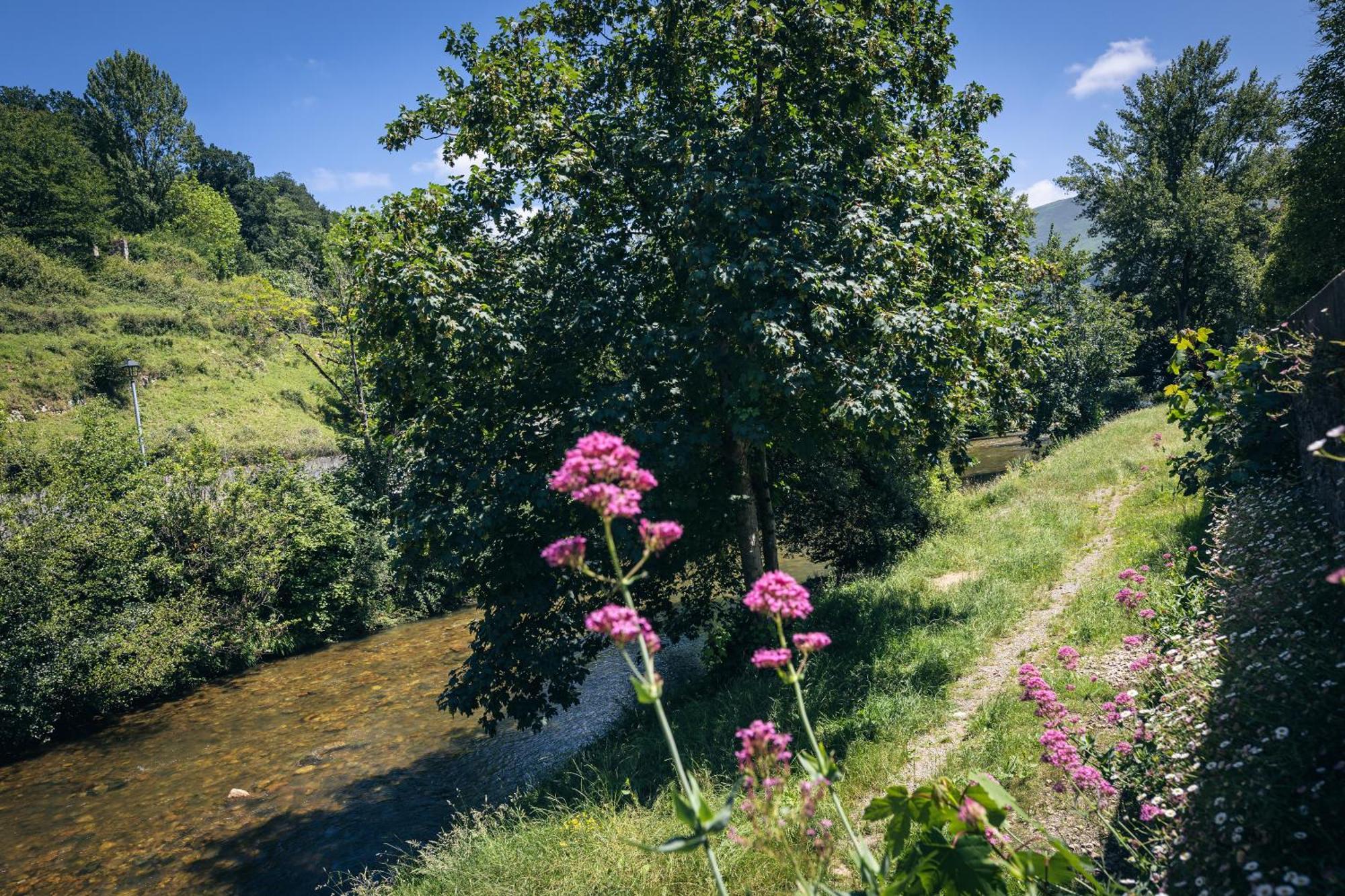 Finca La Naguada Casa Rural En Asturias Белонсио Экстерьер фото